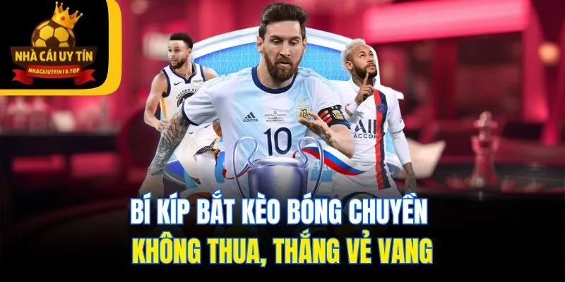 Bí Kíp Bắt Kèo Bóng Chuyền Không Thua, Thắng Vẻ Vang