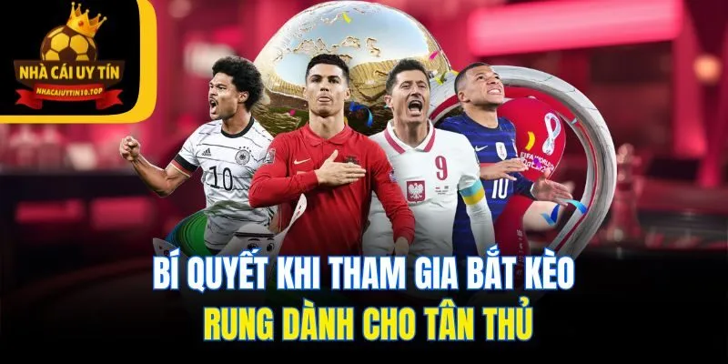 Bí quyết khi tham gia bắt kèo rung dành cho tân thủ