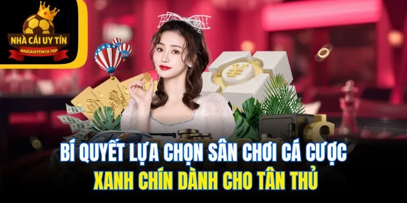 Bí quyết lựa chọn sân chơi cá cược xanh chín dành cho tân thủ