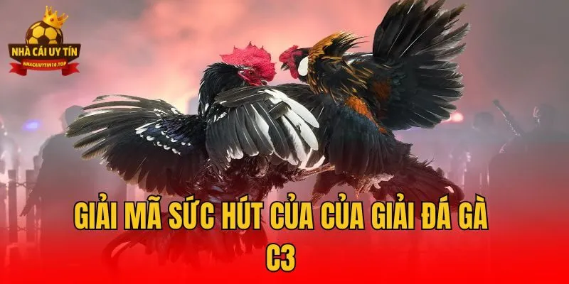 Giải mã sức hút của của giải đá gà C3