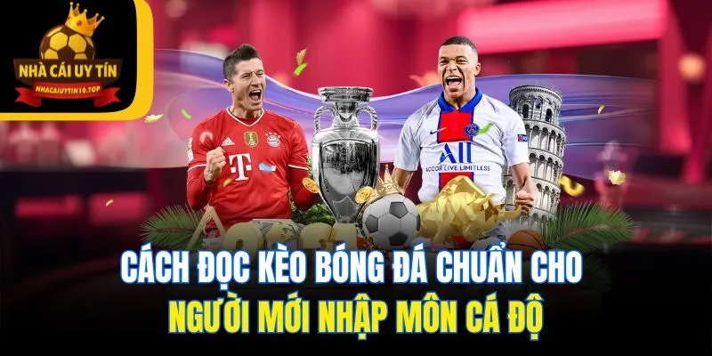 Cách Đọc Kèo Bóng Đá Chuẩn Cho Người Mới Nhập Môn Cá Độ