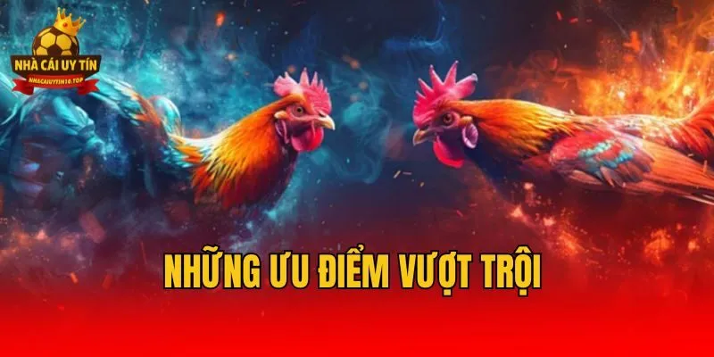 Những ưu điểm vượt trội