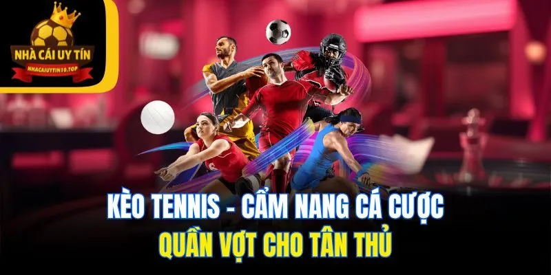 Kèo Tennis - Cẩm Nang Cá Cược Quần Vợt Cho Tân Thủ 