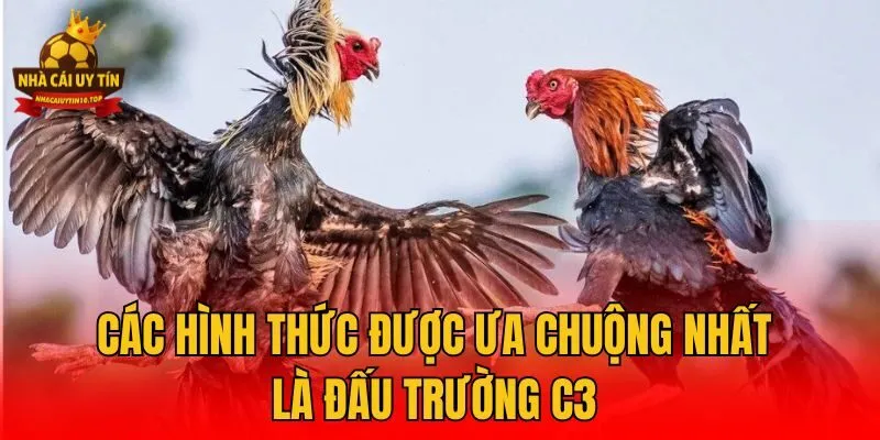 Các hình thức được ưa chuộng nhất là đấu trường C3