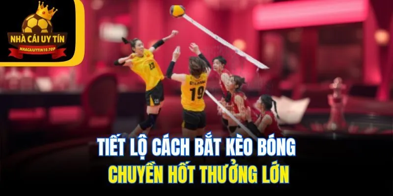 Tiết lộ cách bắt kèo bóng chuyền hốt thưởng lớn